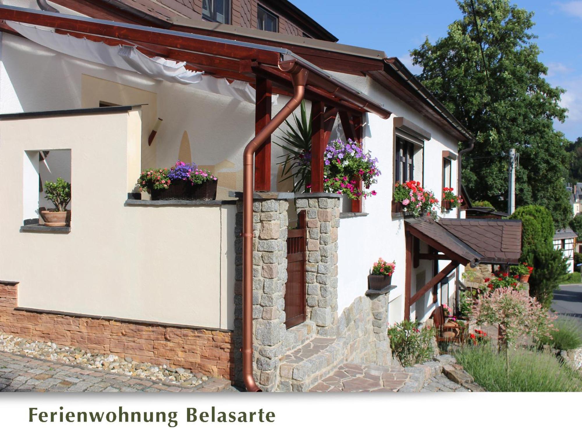 Ferienwohnung Belasarte Bad Elster Exterior foto