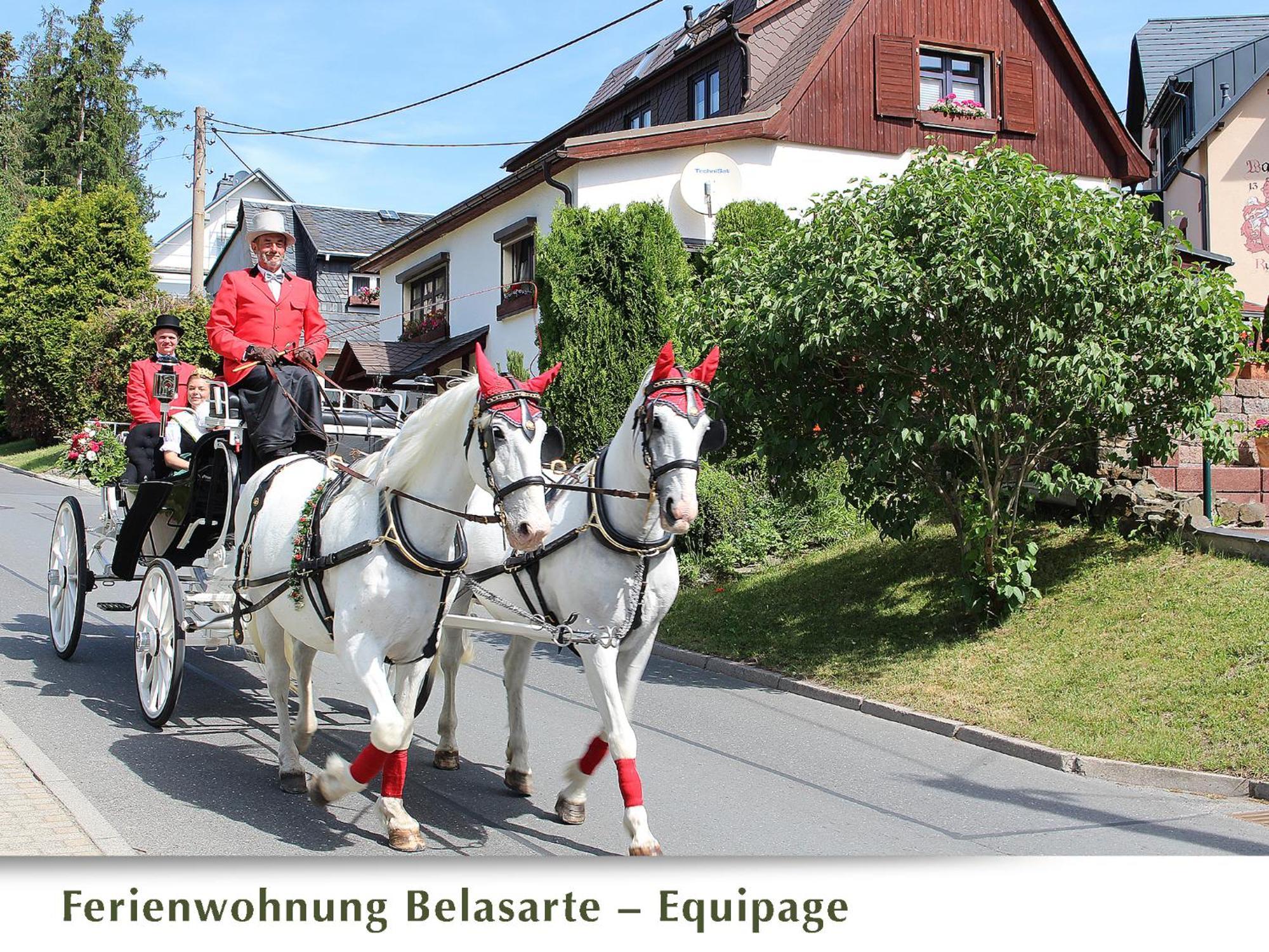 Ferienwohnung Belasarte Bad Elster Exterior foto