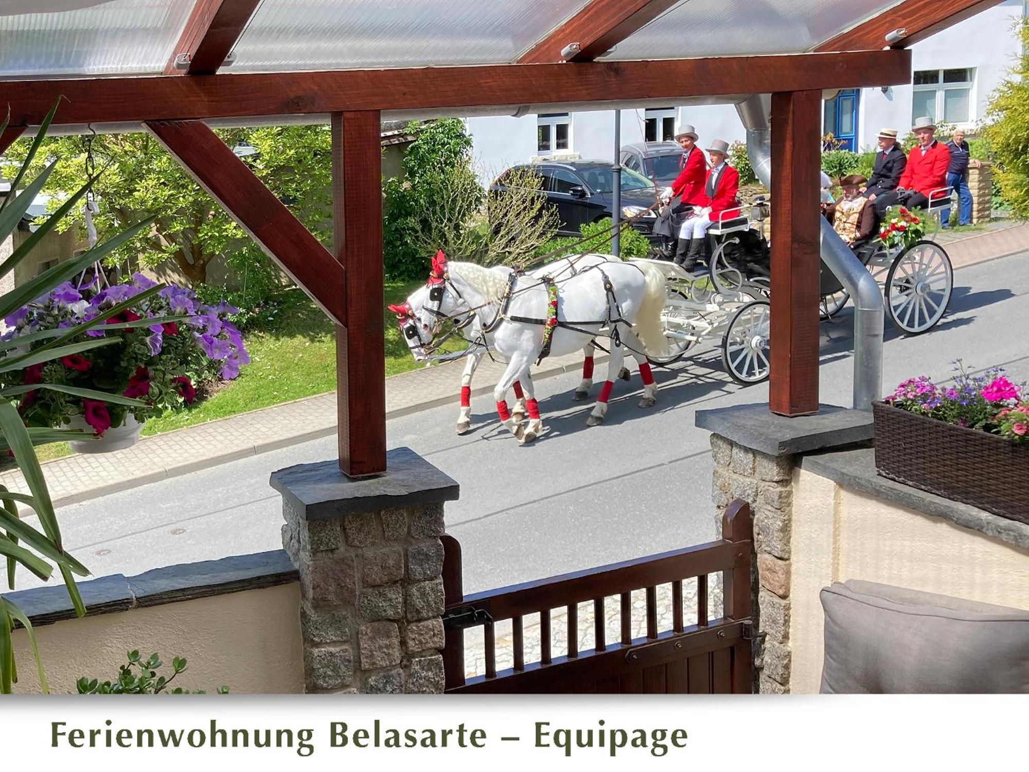 Ferienwohnung Belasarte Bad Elster Exterior foto